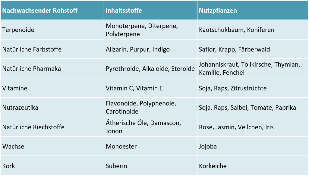 Bioökonomie: Was Nachwachsende Rohstoffe Alles Ersetzen Können - Blog