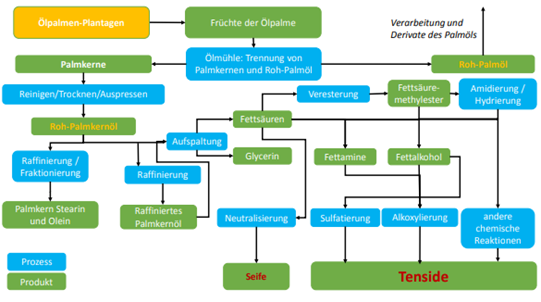 Herstellung von Tensiden auf Basis von Palmkernöl