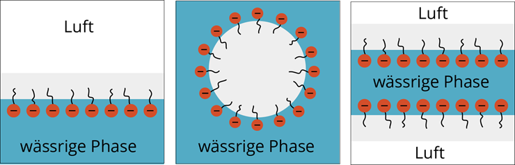 Anordnung von Tensiden