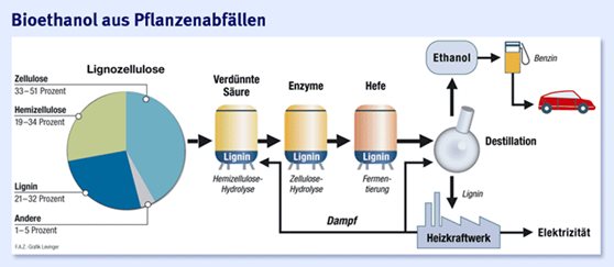 Bioethanol aus Pflanzenabfällen Bioethanol aus Pflanzenabfällen