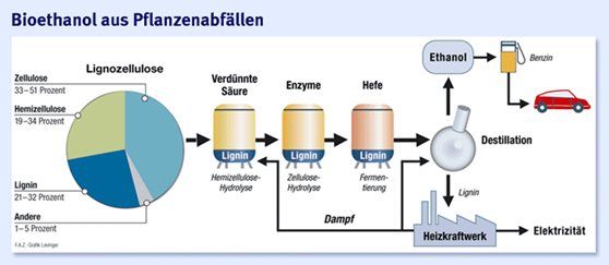 Bioethanol aus Pflanzenabfällen